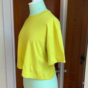 Everlane Organic Cropped Tee, key lime